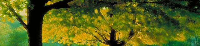 Knights of Columbus Council #5918