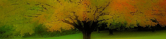 Knights of Columbus Council #5918