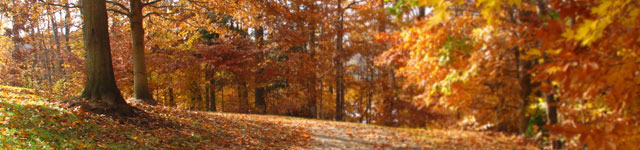 Knights of Columbus Council #5918